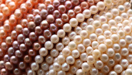 Round Pearl Strand Round Pearl Strand