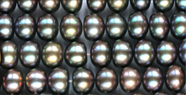 10mm Button Pearls