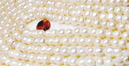 Large Peanut Pearls Large Peanut Pearls