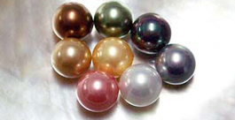 12m Shell Pearl Half Drilled