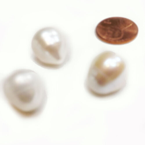 7-8mm Drop Shaped Single Pearl Half Drilled AA Quality For Making a Pendant or Earrings