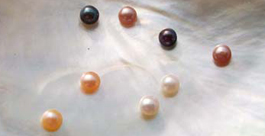 3-4mm AAA Quality Button Pearls