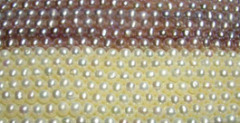 3-4mm Round Pearl String