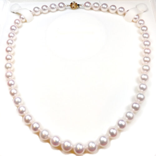 8.5-9mm Akoya Pearl Necklace 14k gold