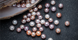 Loose Freshwater Pearls Loose Freshwater Pearls