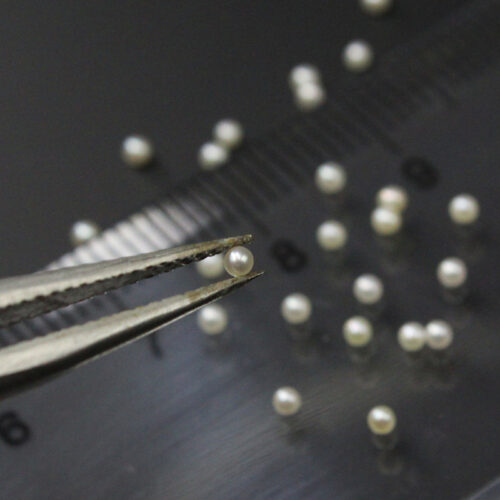 loose seed pearls