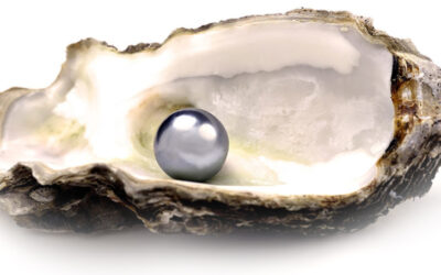 June’s Birthstone – Pearls Direct From Farms