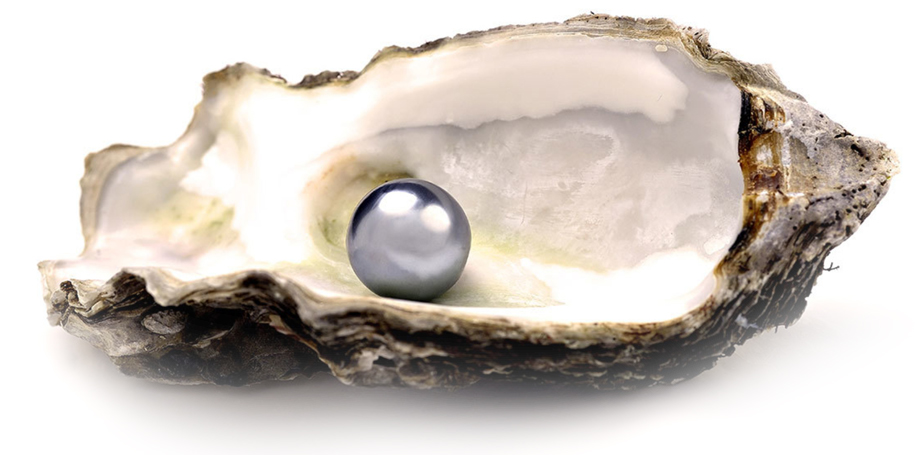 June’s Birthstone – Pearls Direct From Farms