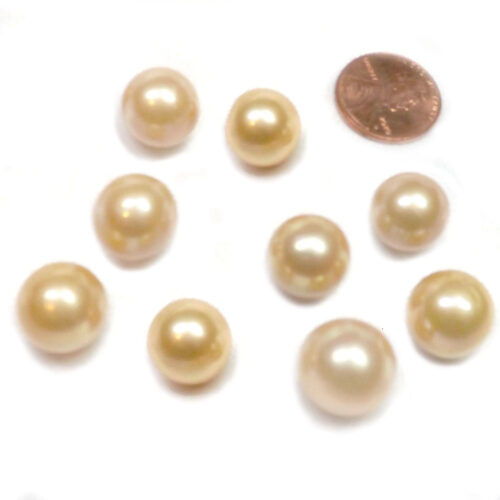 12-13mm Gold South Sea Single Loose Pearl