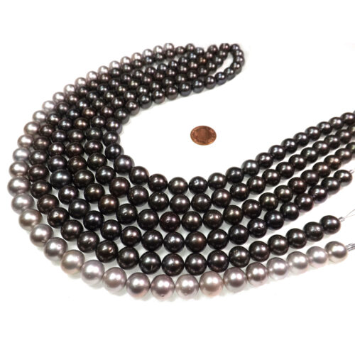 11-13mm Tahitian black or Tahitian Grey Pearls on loose Strands