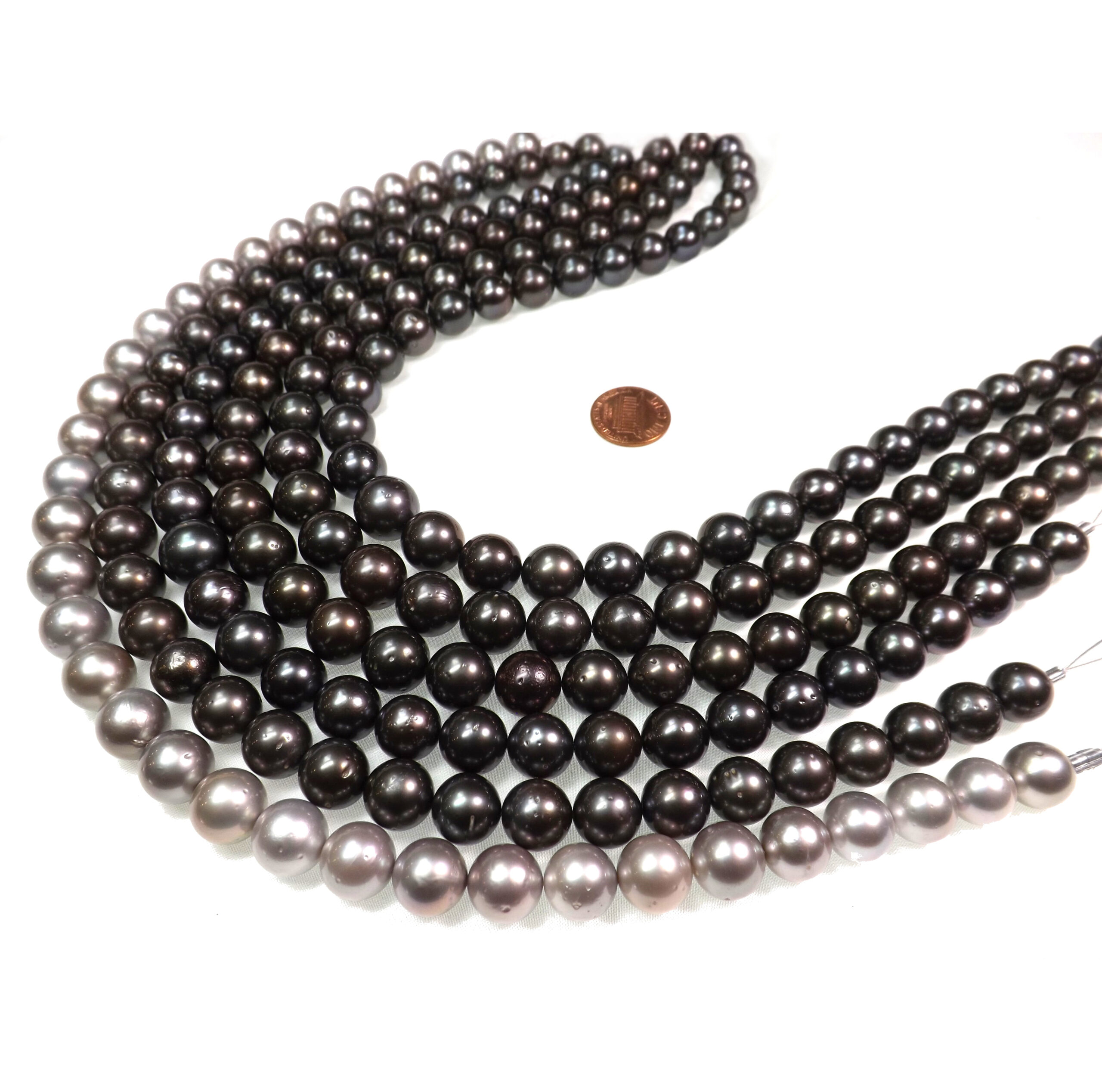 11-13mm Tahitian black or Tahitian Grey Pearls on loose Strands