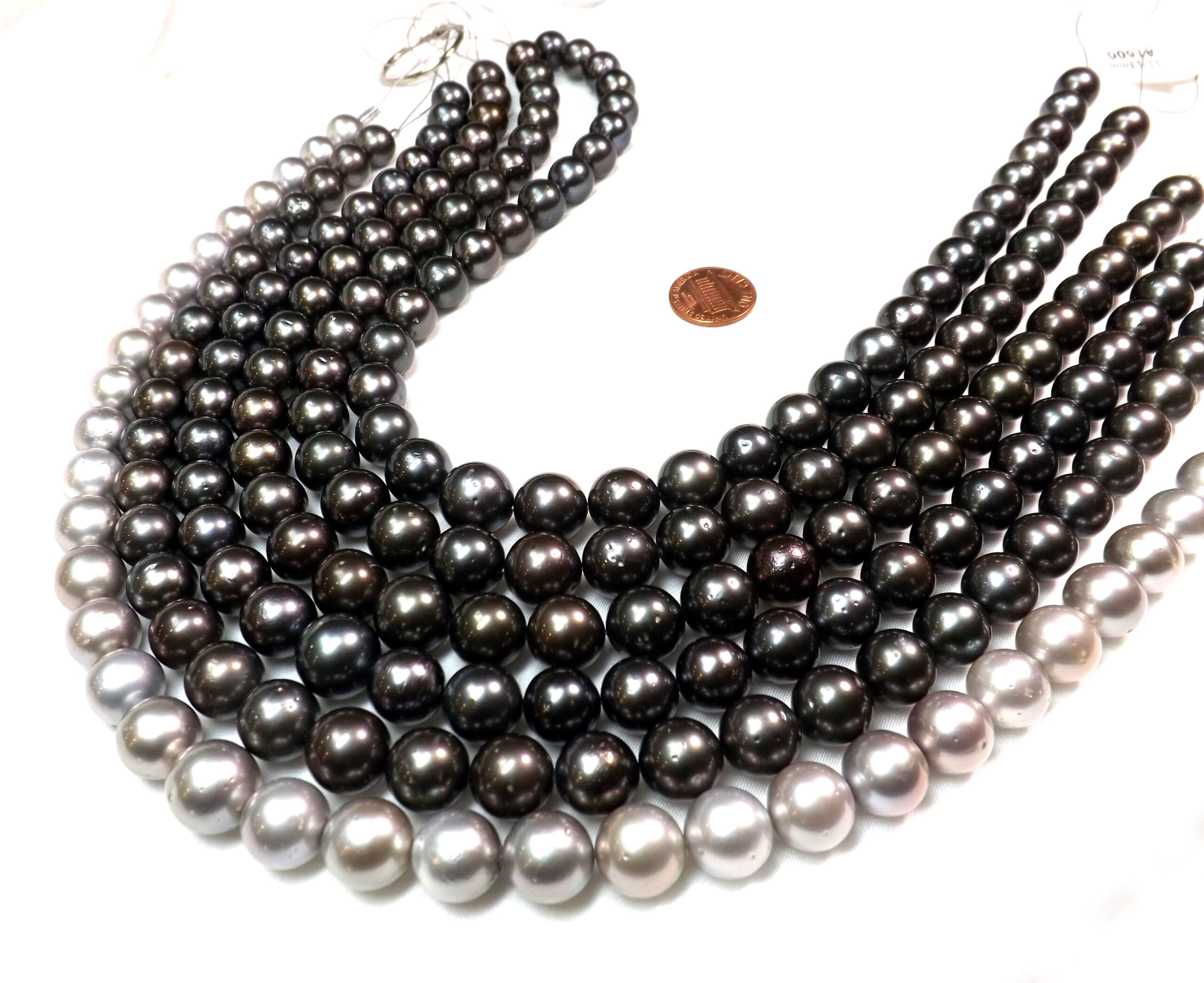 11-13mm Tahitian black or Tahitian Grey Pearls on loose Strands